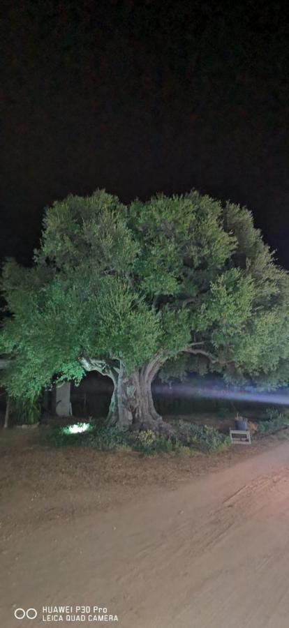 Azienda Multifunzionale S'Ozastro Marinella  Exteriér fotografie